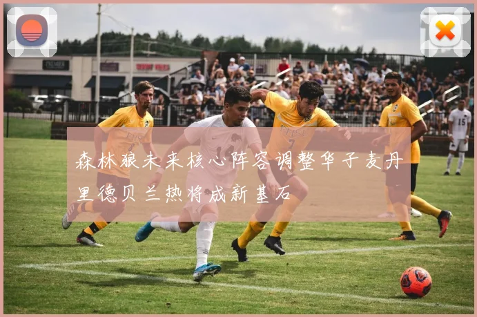 森林狼未来核心阵容调整华子麦丹里德贝兰热将成新基石